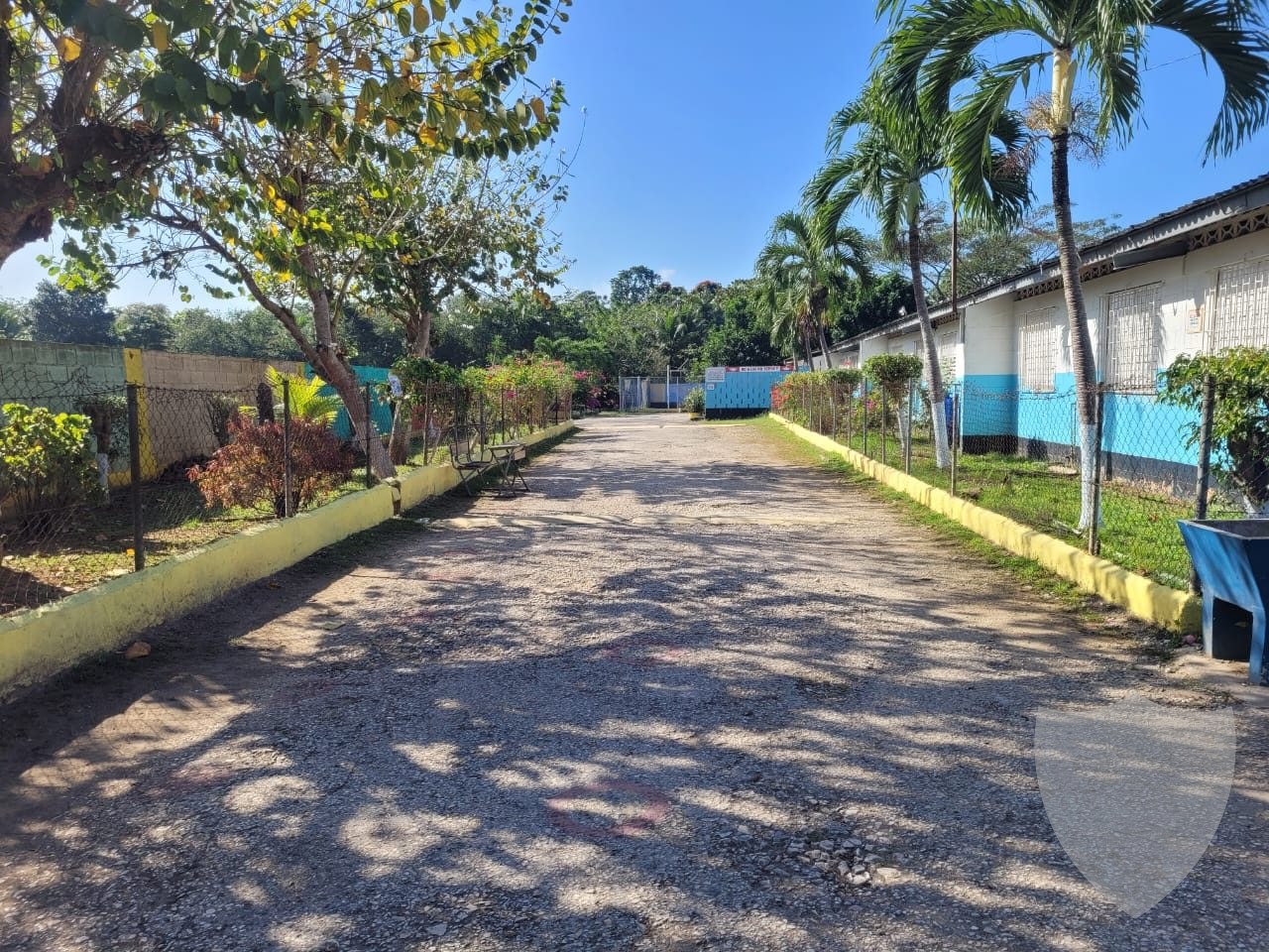 Campus Walkway